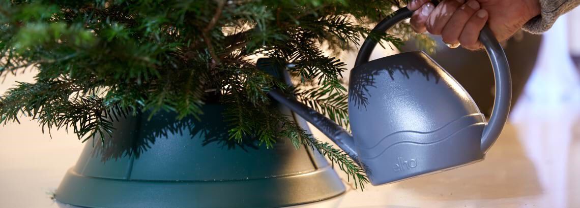 [paste advice page name here]